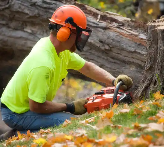 tree services Charlack